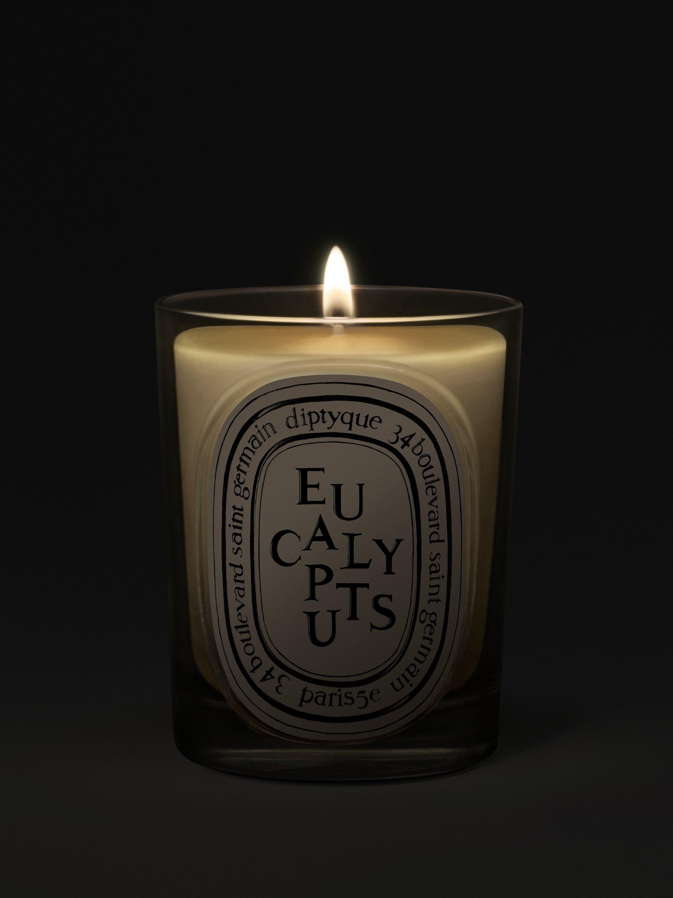 Diptyque scented candle Eucalyptus 190g (British brand)
