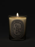 Diptyque scented candle Eucalyptus 190g (British brand)
