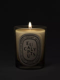 Diptyque scented candle Eucalyptus 190g (British brand)