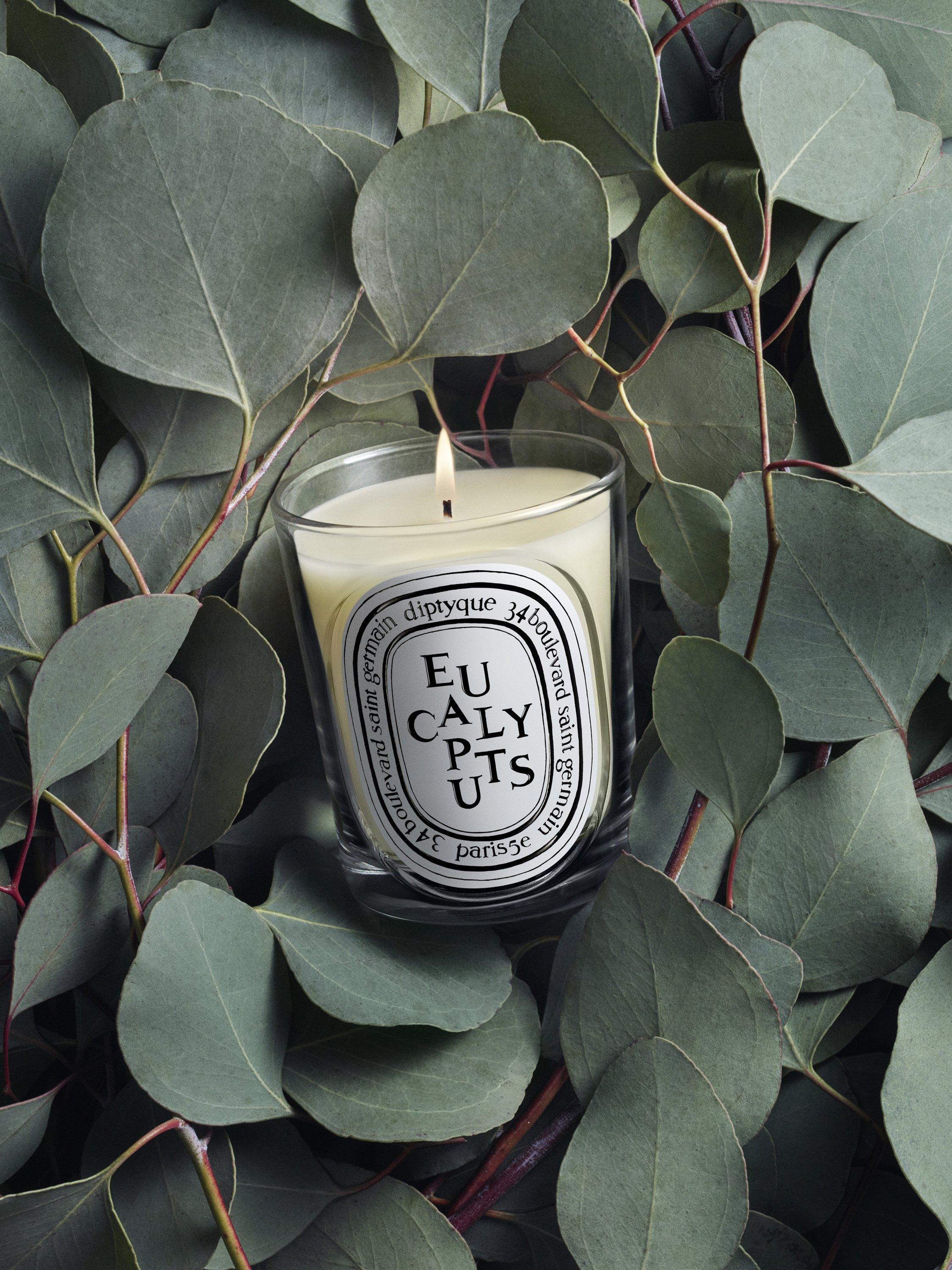 Diptyque scented candle Eucalyptus 190g (British brand)
