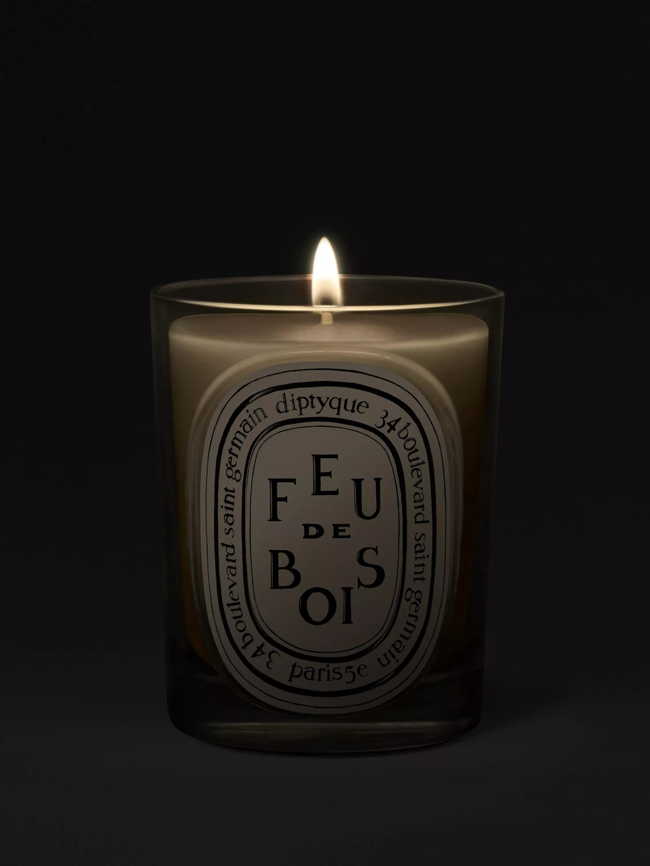 Diptyque Feu de Bois scented candle 190g (British brand)