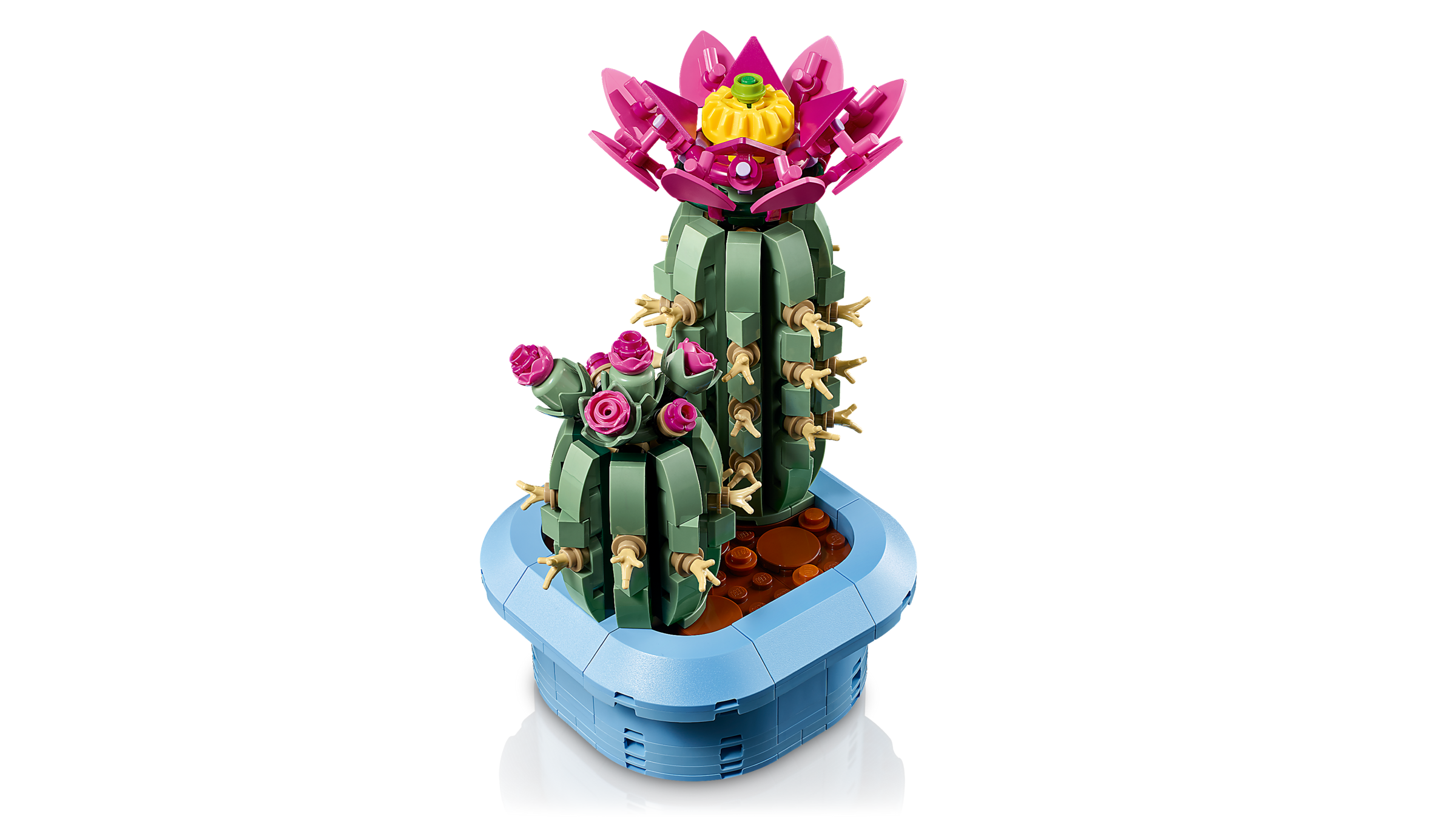LEGO Botanicals Flowering Cactus building set 482 pieces - British product