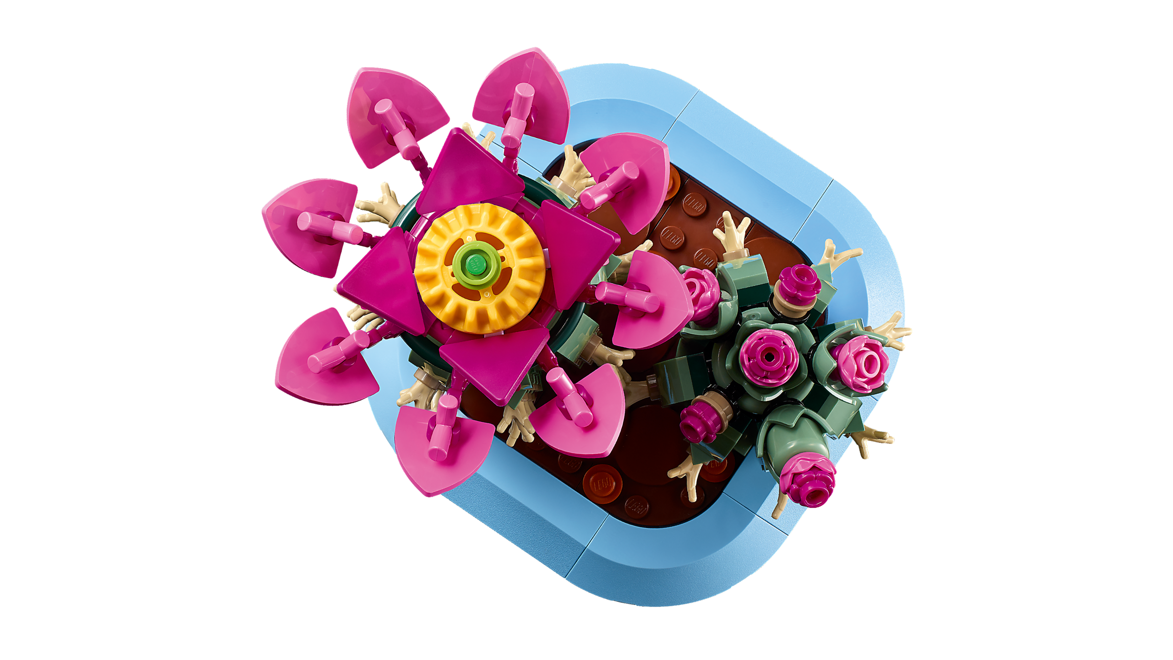LEGO Botanicals Flowering Cactus building set 482 pieces - British product
