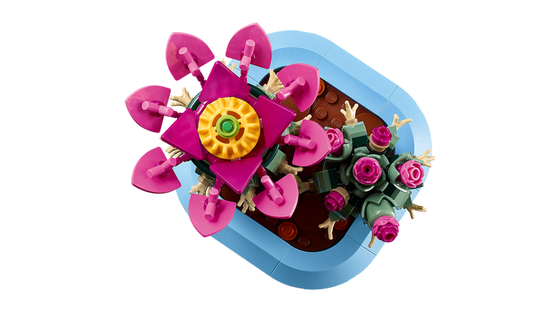 LEGO Botanicals Flowering Cactus building set 482 pieces - British product