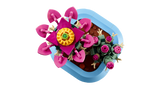 LEGO Botanicals Flowering Cactus building set 482 pieces - British product