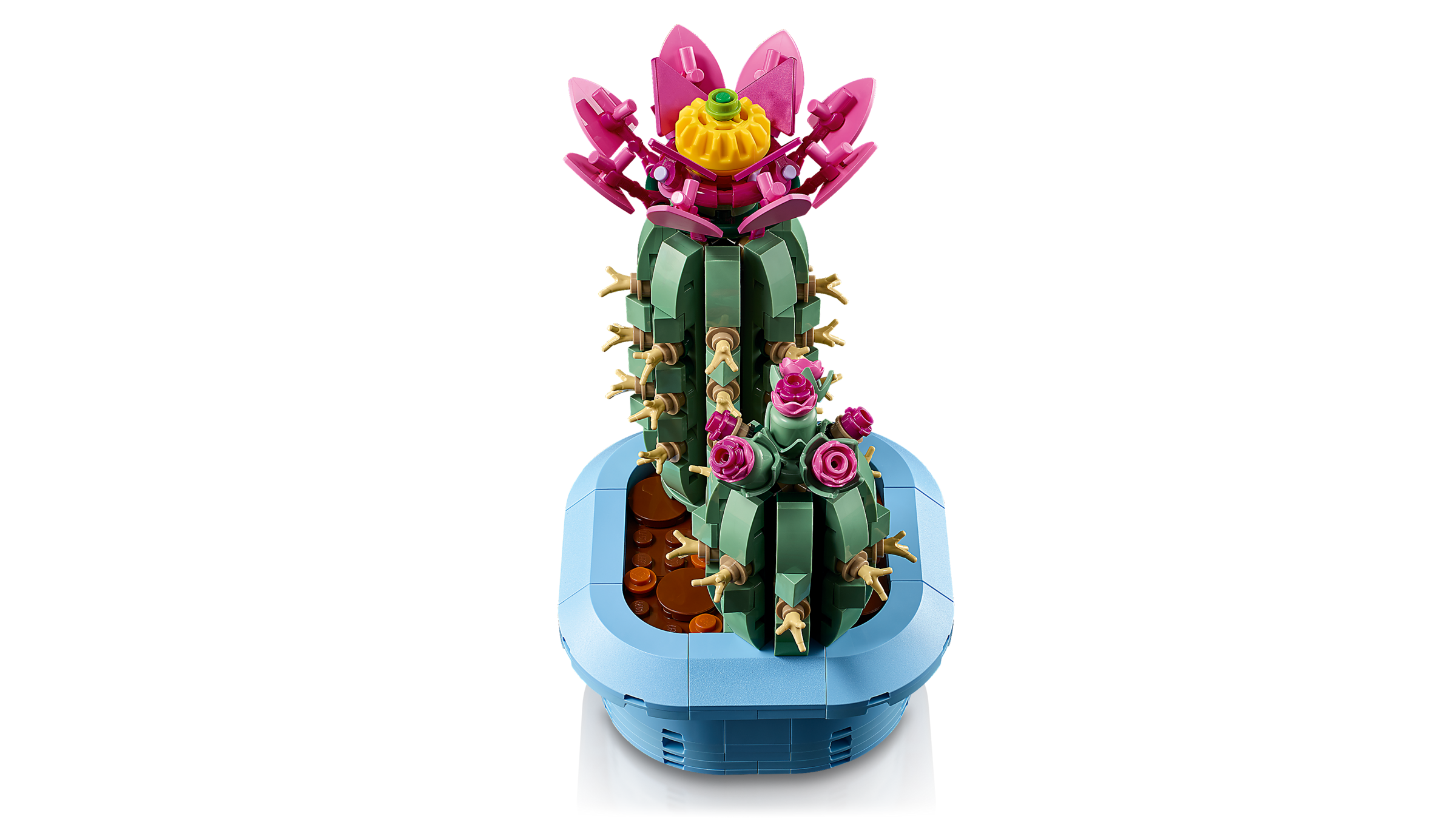 LEGO Botanicals Flowering Cactus building set 482 pieces - British product