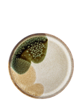 Bloomingville stoneware side plate green 22cm, imported from the UK