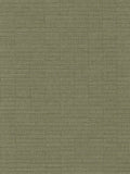 John Lewis Paddy wallpaper with metallic finish (British brand)