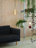 tala Muse 2.0 portable outdoor lamp Pomona Red, UK version