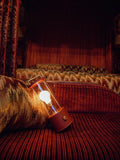 tala Muse 2.0 portable outdoor lamp Pomona Red, UK version