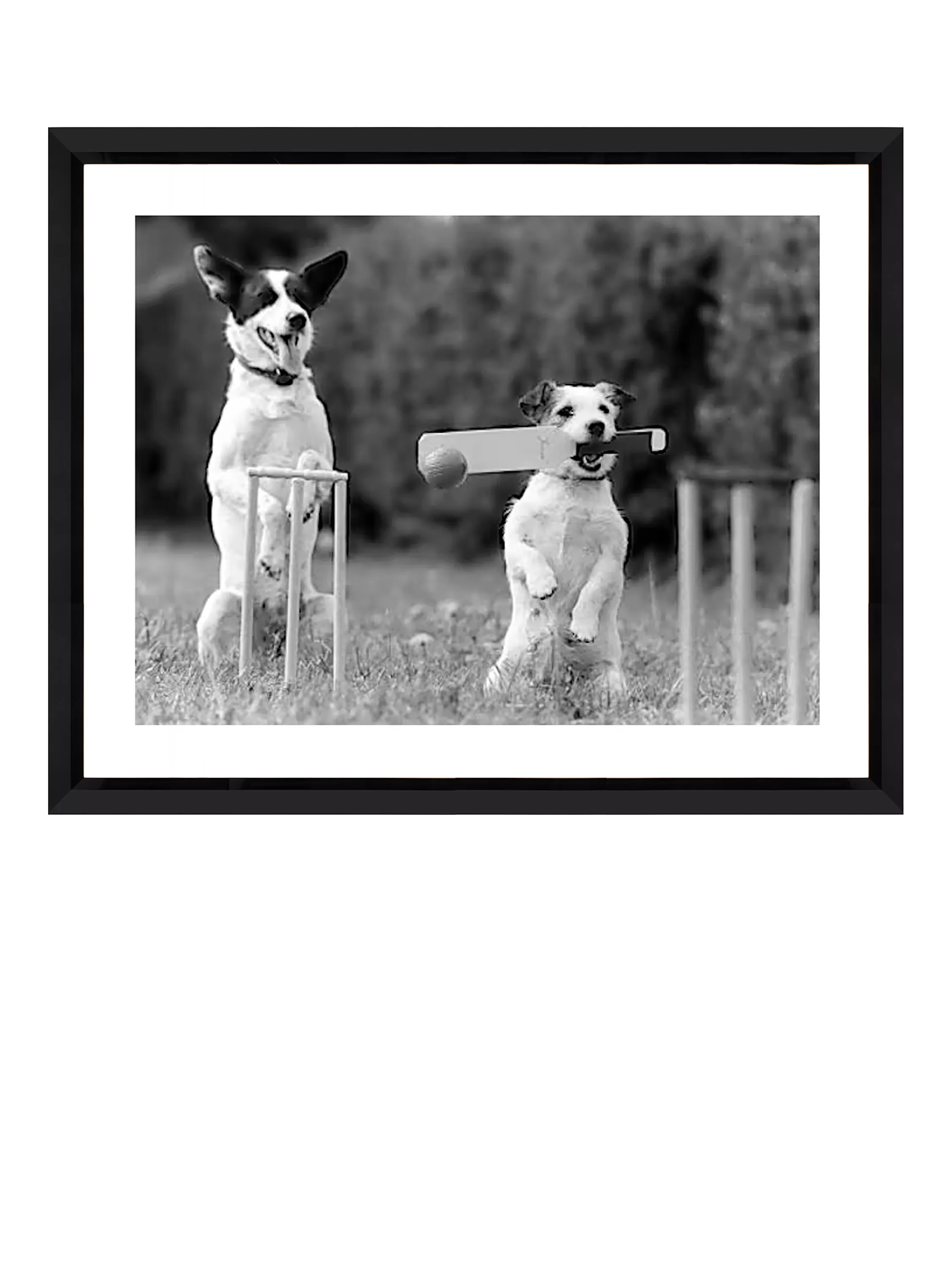 Brookpace Lascelles framed print Cricket in the Park 45x55cm (British brand)