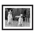 Brookpace Lascelles framed print Cricket in the Park 45x55cm (British brand)