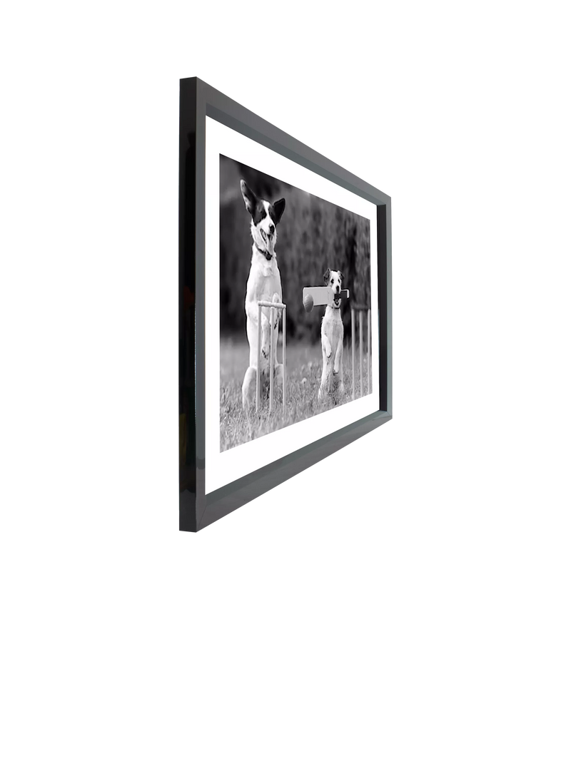 Brookpace Lascelles framed print Cricket in the Park 45x55cm (British brand)