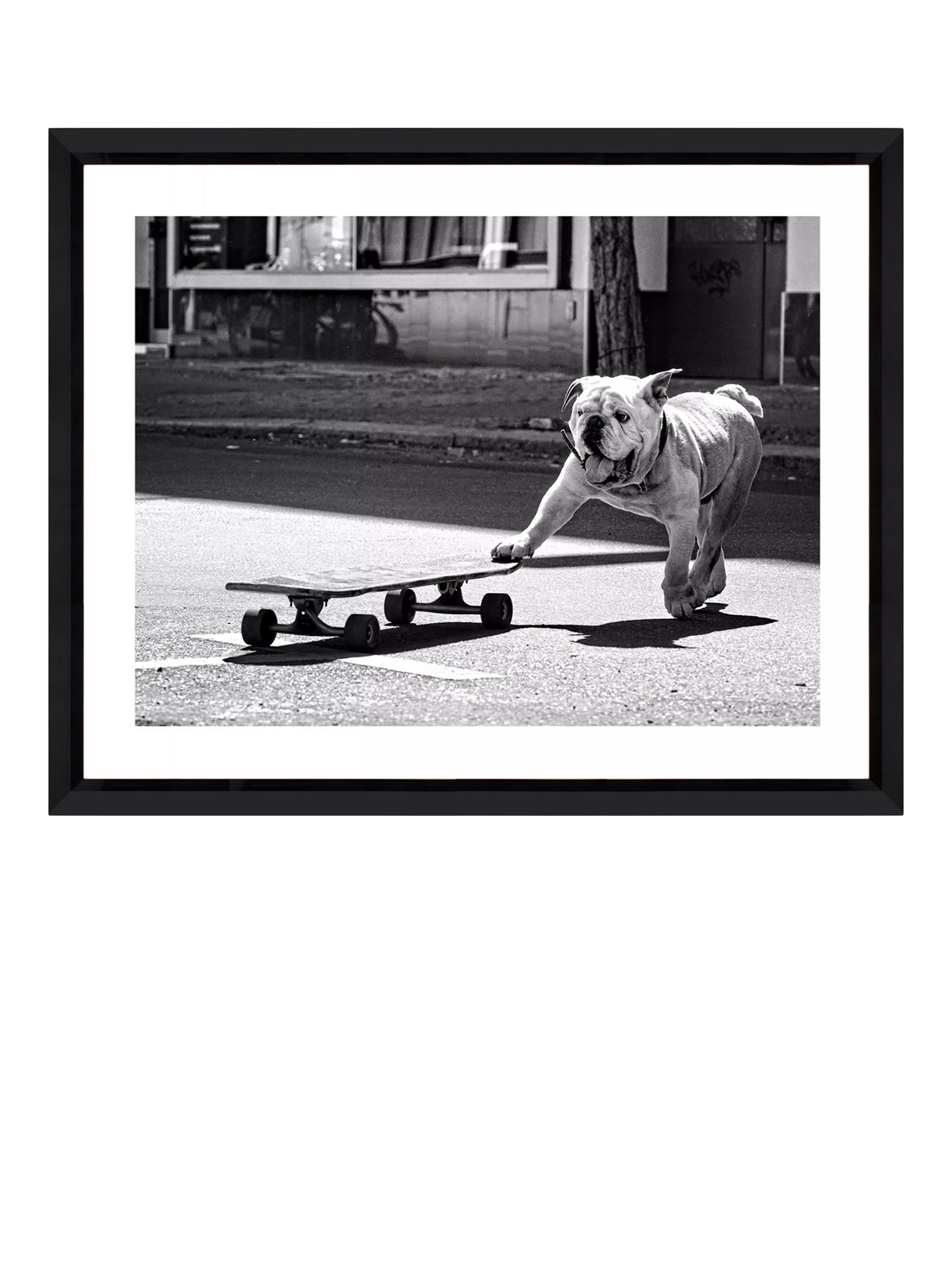 Brookpace Lascelles Park Life photographic print bulldog London (British brand)