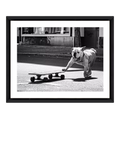 Brookpace Lascelles Park Life photographic print bulldog London (British brand)