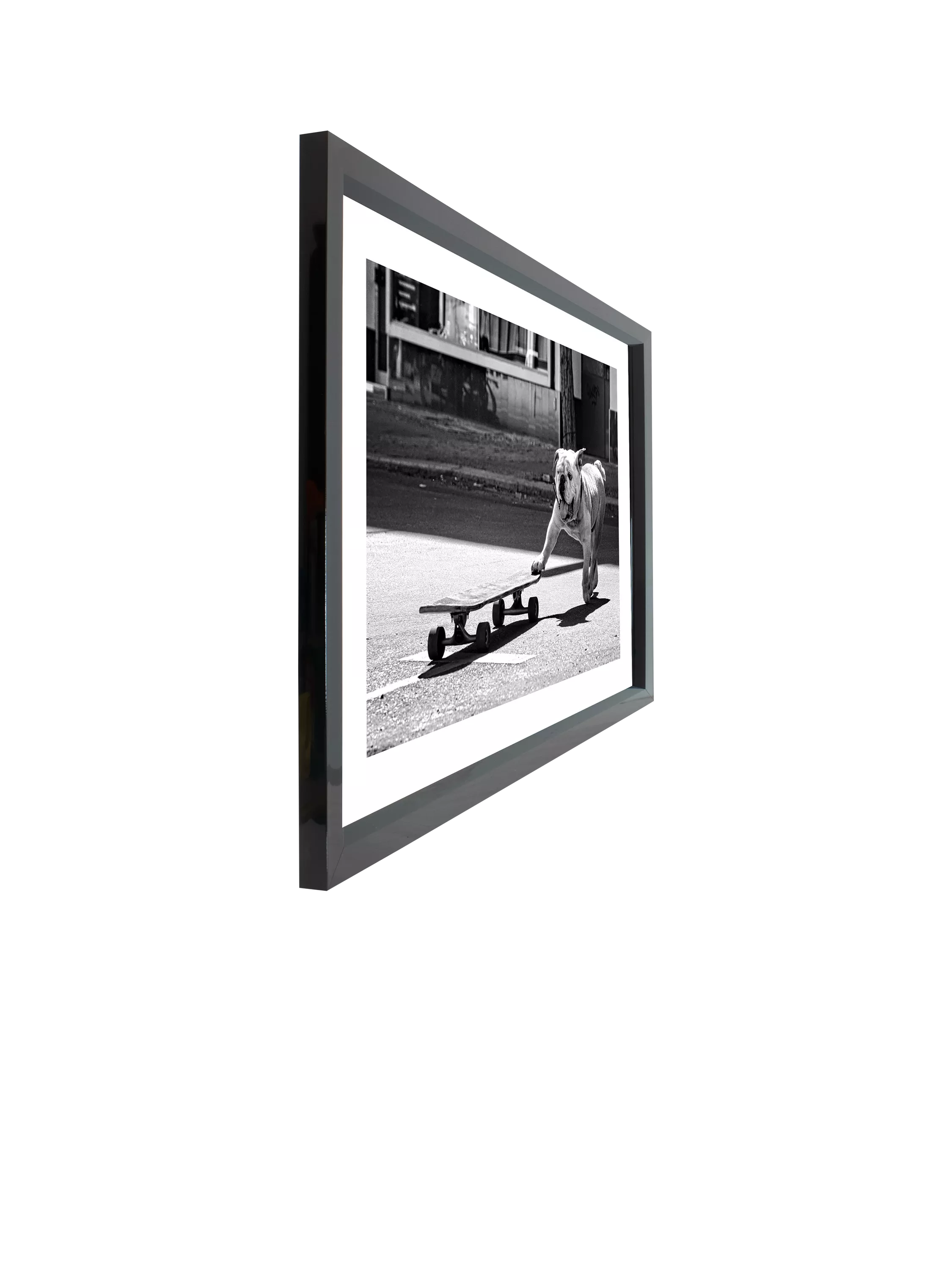 Brookpace Lascelles Park Life photographic print bulldog London (British brand)