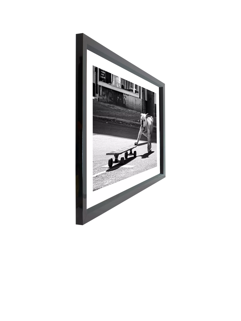 Brookpace Lascelles Park Life photographic print bulldog London (British brand)