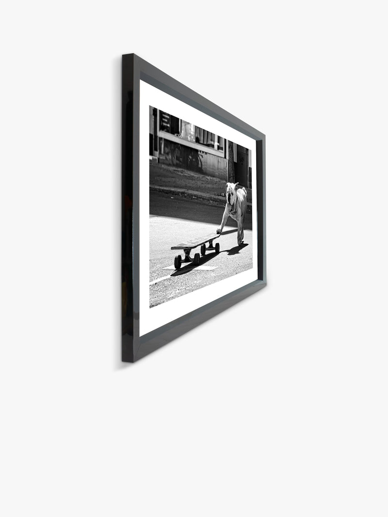 Brookpace Lascelles Park Life photographic print bulldog London (British brand)