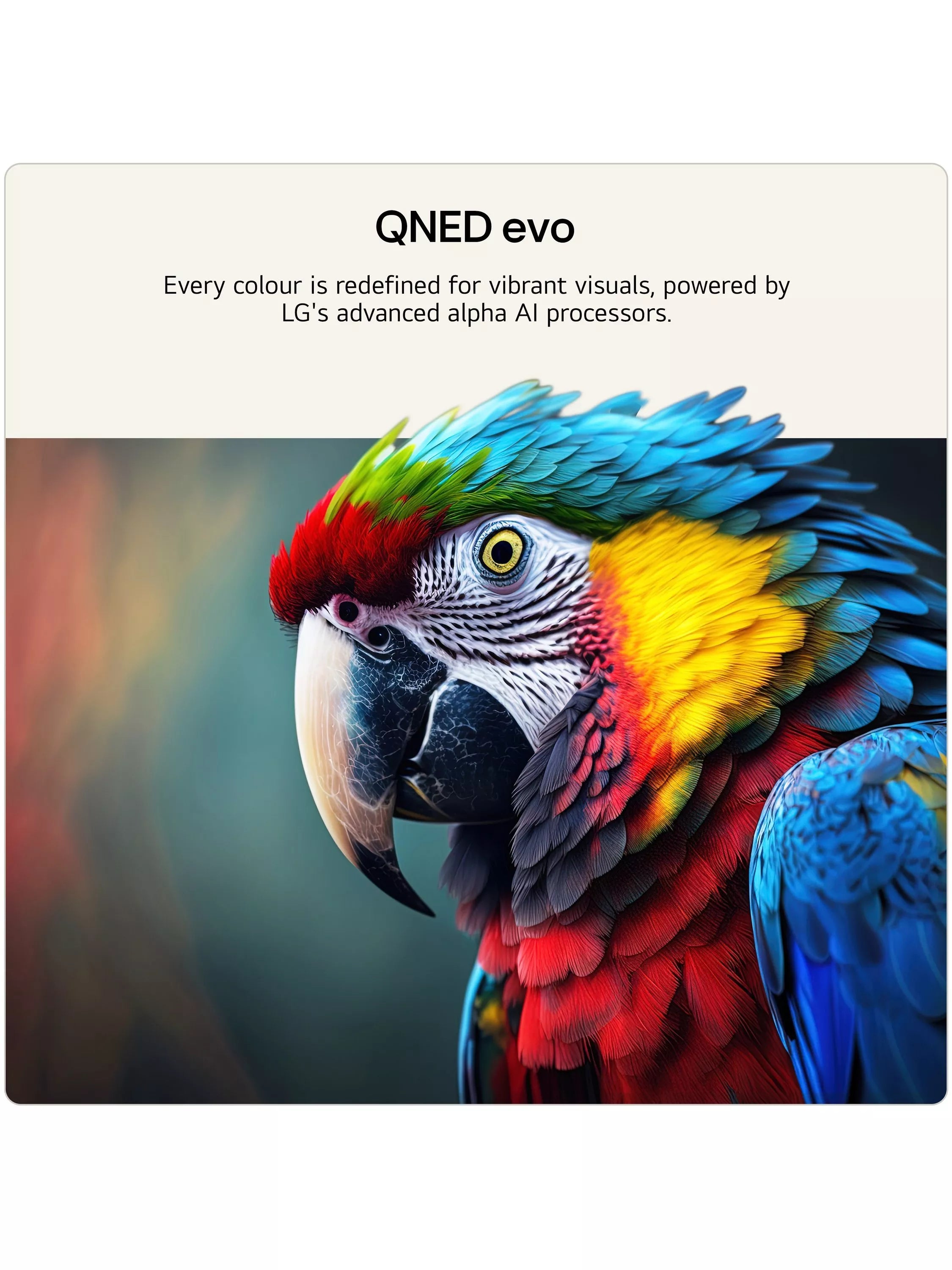 LG QNED evo MiniLED 4K TV 50 inch (British brand)