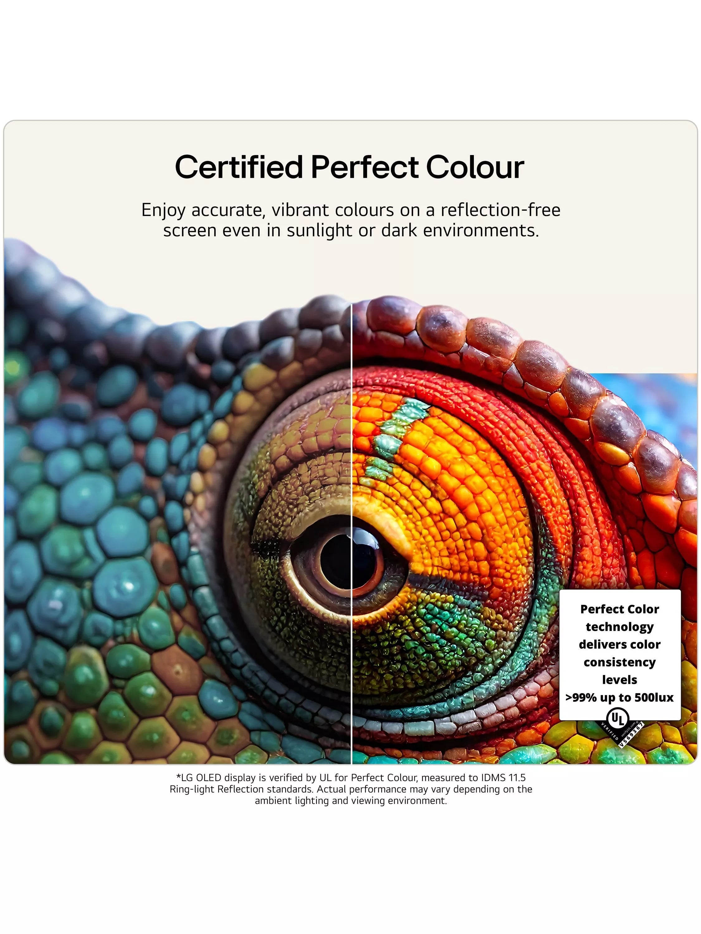 LG OLED C6 42 inch 4K Smart TV (British brand)