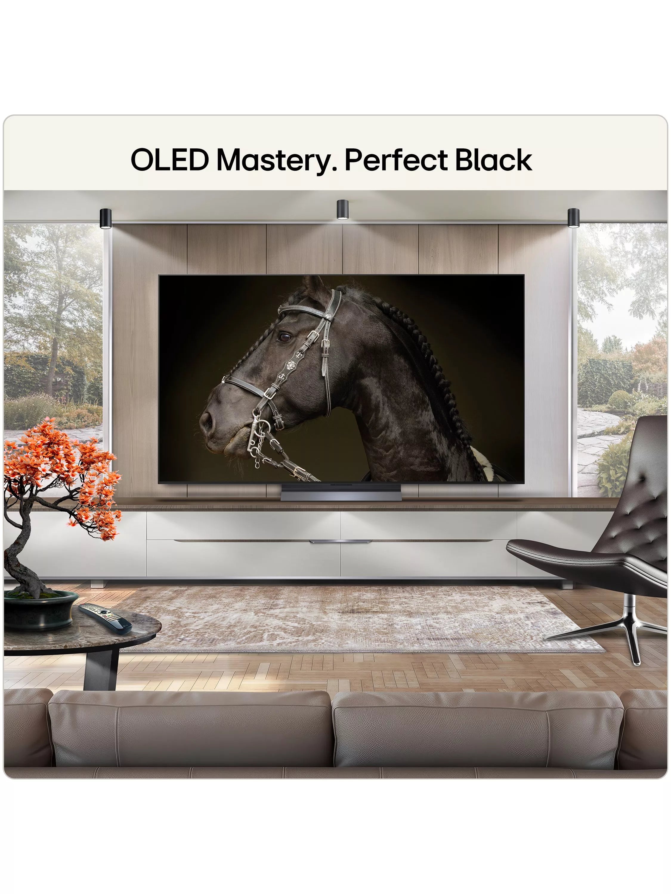LG OLED TV C6 65 inch - British product