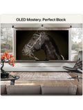 LG OLED evo C6 TV 83 inch (British brand)