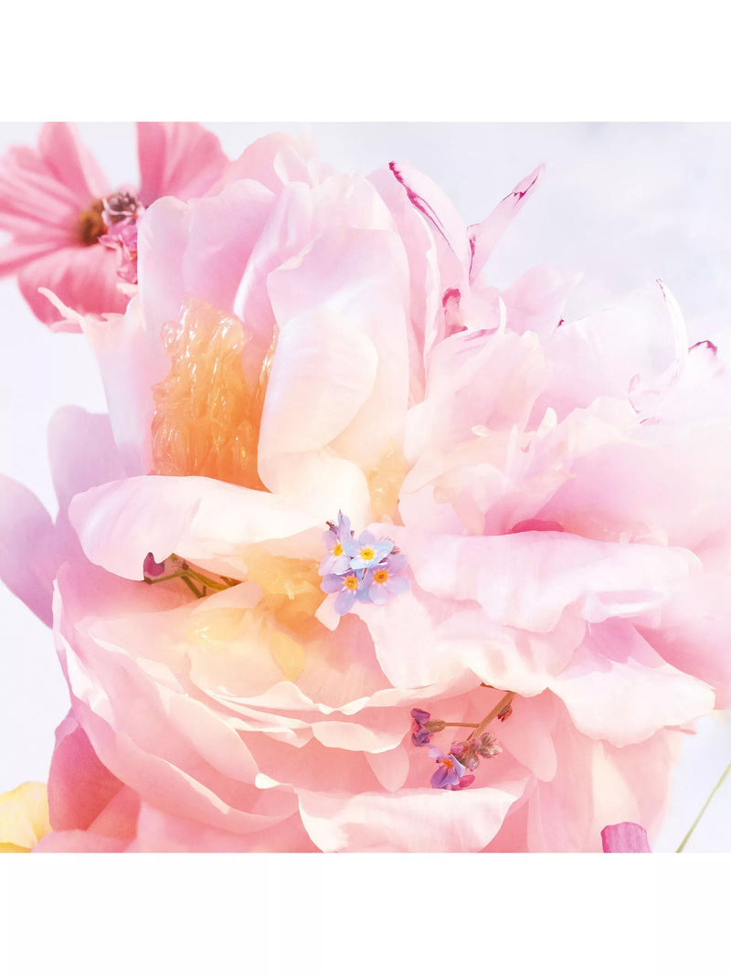 Dior Blooming Bouquet roller-pearl perfume 20ml - British product