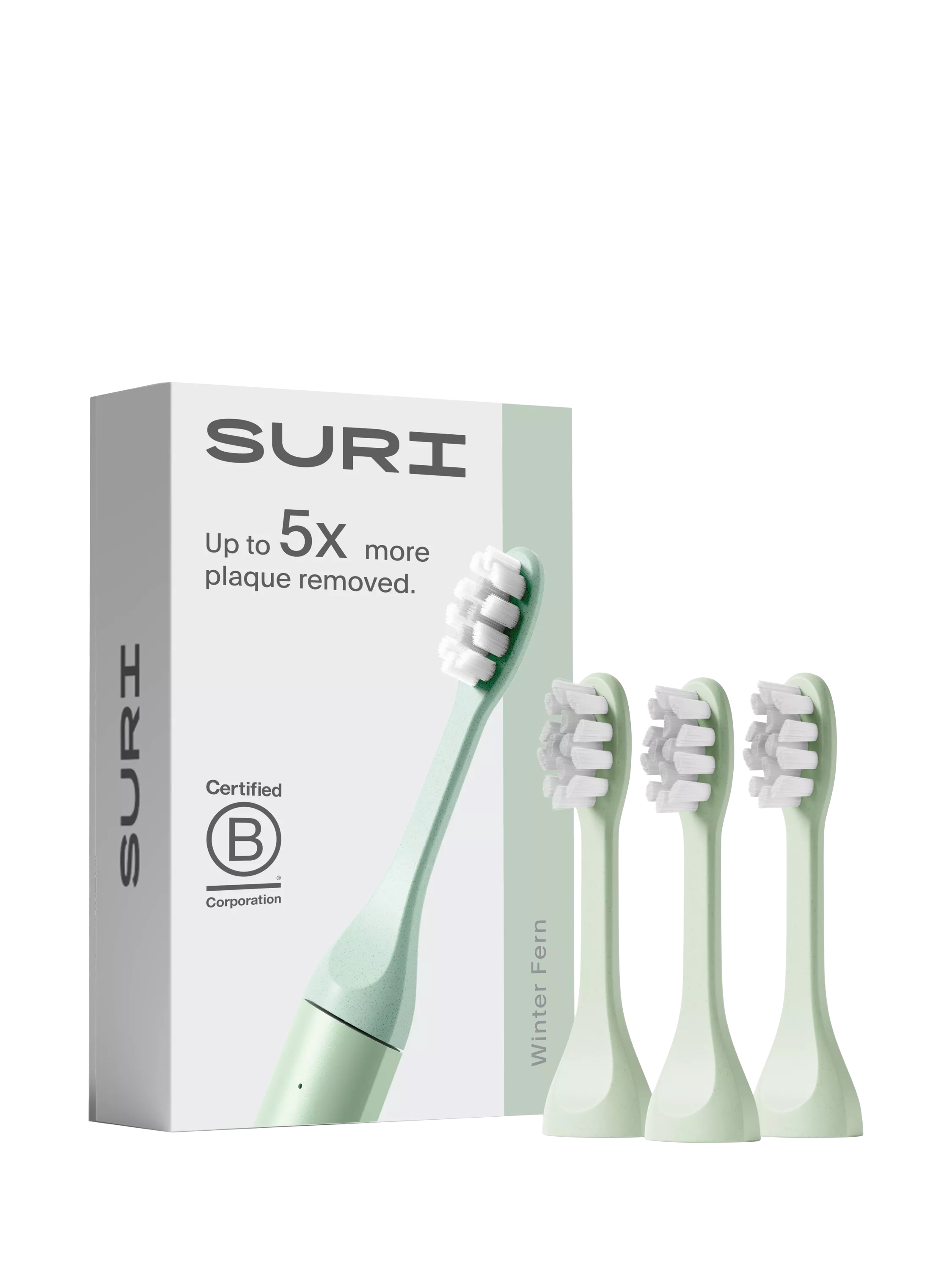 SURI Electric Toothbrush Heads, Set of 3, Winter Fern