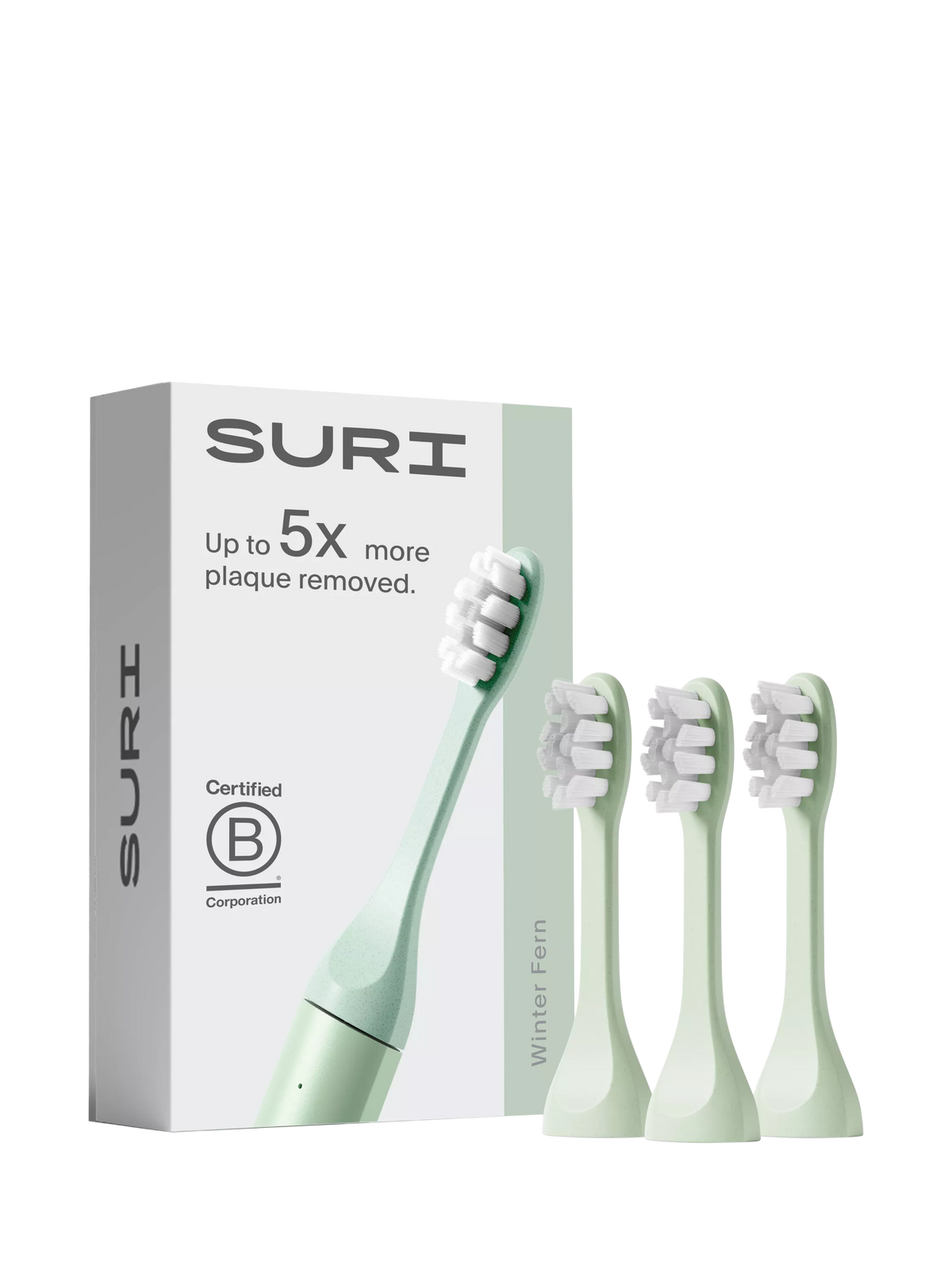 SURI Electric Toothbrush Heads, Set of 3, Winter Fern