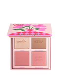Benefit Cheek Buds palette with bronzer highlighter and blushes (British brand)