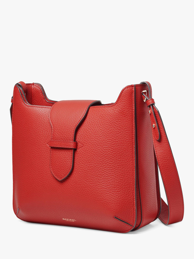 Aspinal of London Ella leather hobo bag, UK version