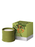 LOEWE pistachio scented candle 610g (British brand)