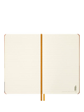 Moleskine large LOTR Frodo & Sam notebook (British brand)