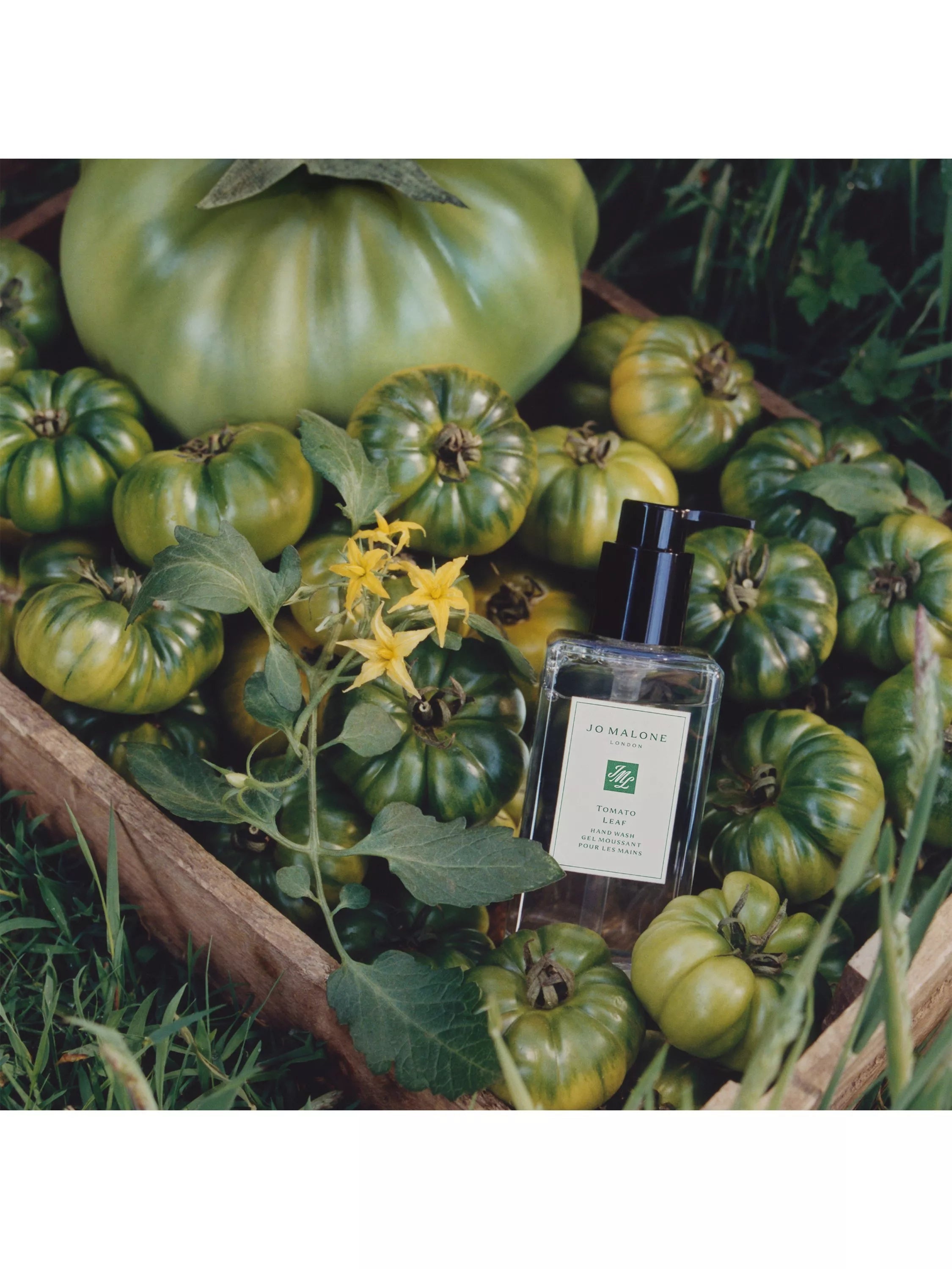 Jo Malone London Tomato Leaf hand wash 250ml (British brand)