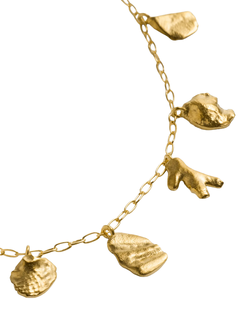 Monica Vinader gold shell charm bracelet, imported from the UK