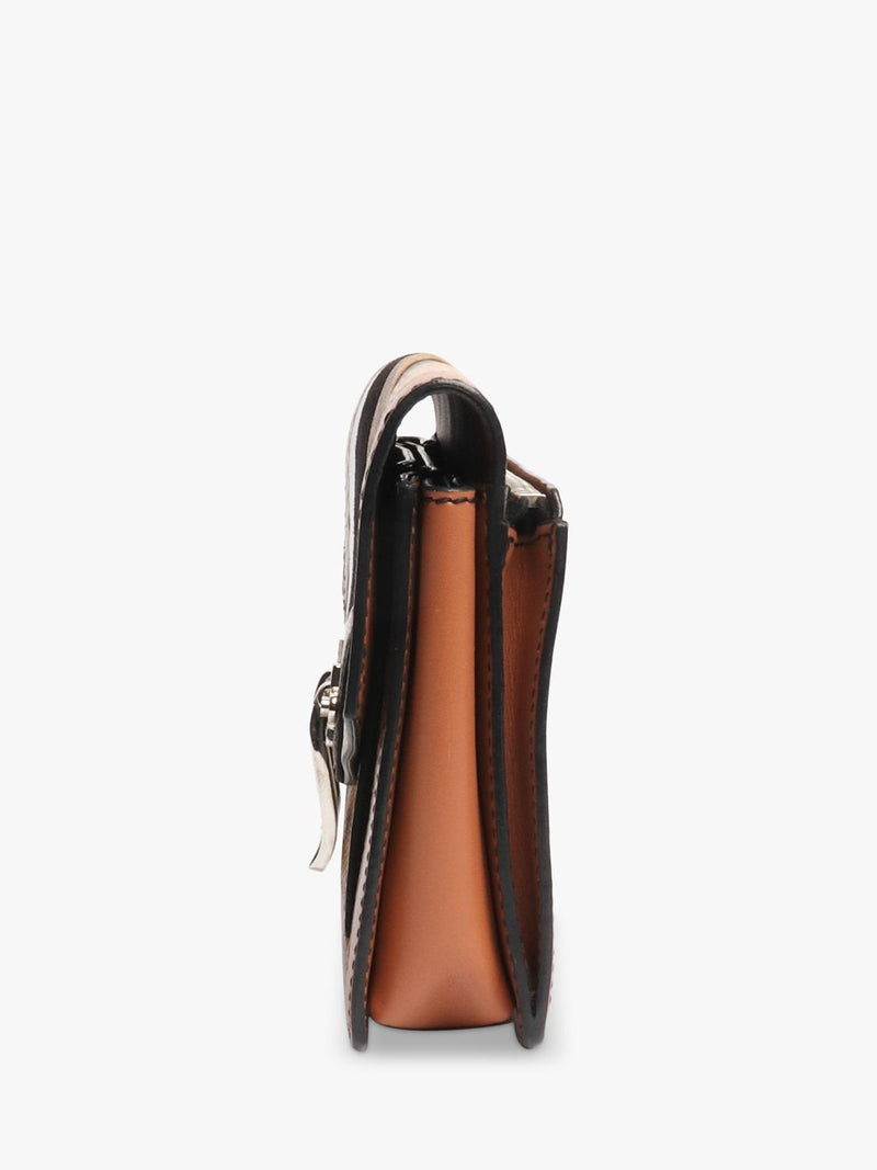 Proenza Schouler clutch bag brown striped exotic leather 19cm (British brand)