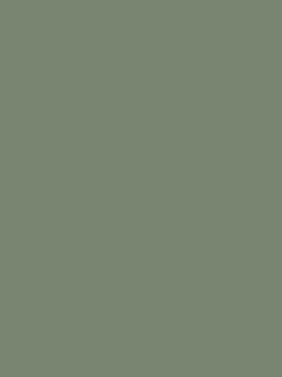 William Morris At Home Outstretch Matt Emulsion Paint, 2.5L
