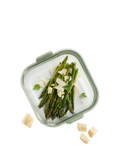 Lékué air fryer square glass dish clear green (British brand)