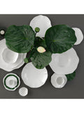 Villeroy & Boch bone porcelain pasta bowl set of 2 white, imported from the UK