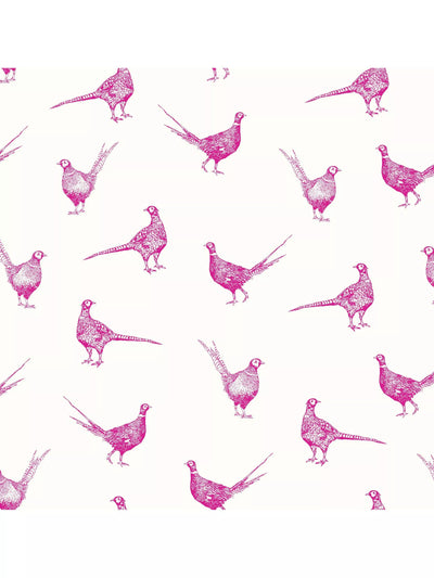 John Lewis Joules Flirty Pheasants Wallpaper Truly Pink- Buy online at McGrocer