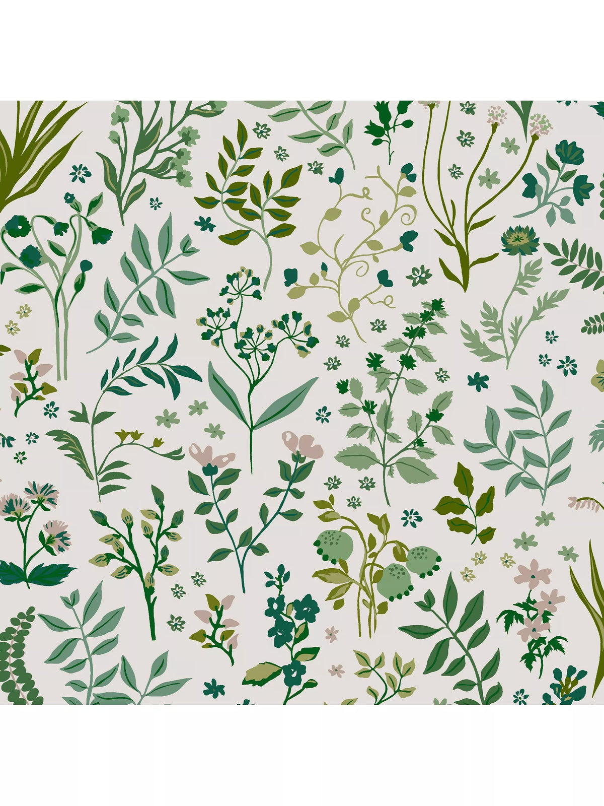 Joules Holcombe wallpaper floral design (British brand)