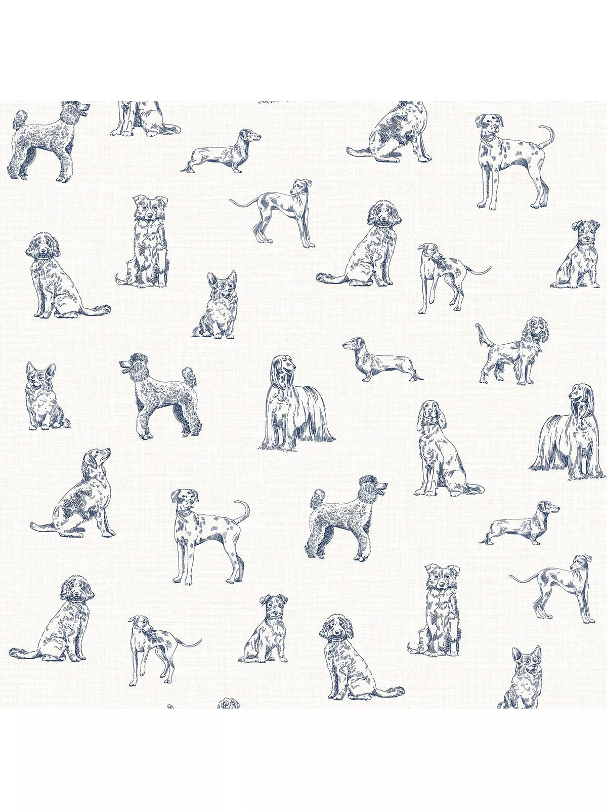 Joules Sketched Dogs wallpaper cream and blue roll (British brand)