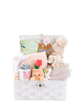 Bumbles & Boo newborn gift hamper with soft toy and blanket (British brand)