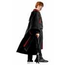 Star Cutouts Harry Potter Ron Weasley cardboard cutout (British brand)