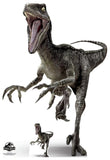 Star Cutouts Jurassic World Raptor Blue cardboard cutout 135x93x15cm (British brand)