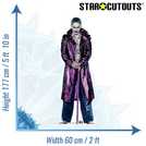 Star Cutouts The Joker DC Comics Jared Leto cardboard cutout 176x59x15cm (British brand)