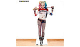 DC Comics Harley Quinn lifesize cardboard cutout, UK version