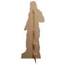 WWE Roman Reigns cardboard cutout role-play decoration (British brand)