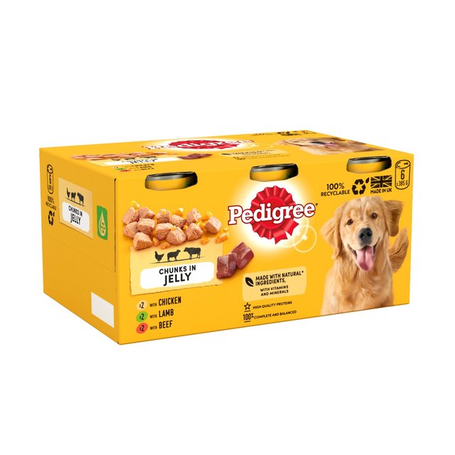 Pedigree Adult Wet Dog Food Tins Mixed in Jelly    6 x 385g