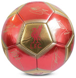Hy-Pro Liverpool FC Signature football size 5, UK version